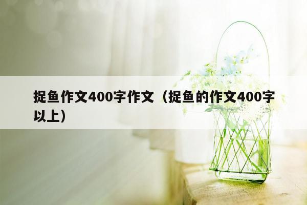 捉鱼作文400字作文（捉鱼的作文400字以上）