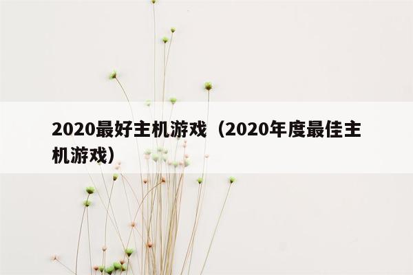 2020最好主机游戏（2020年度最佳主机游戏）