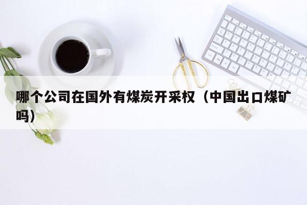 哪个公司在国外有煤炭开采权（中国出口煤矿吗）