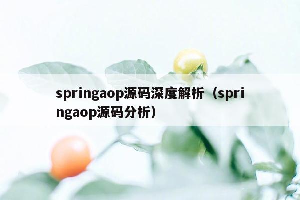 springaop源码深度解析（springaop源码分析）