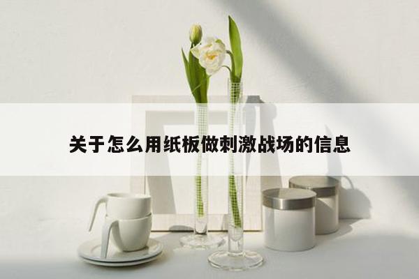 关于怎么用纸板做刺激战场的信息