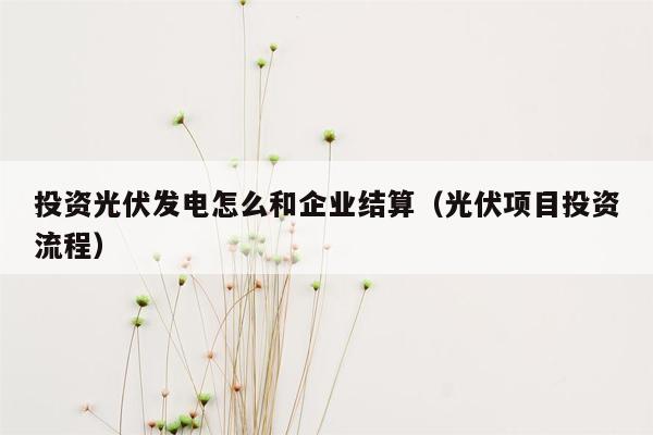 投资光伏发电怎么和企业结算（光伏项目投资流程）