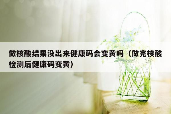 做核酸结果没出来健康码会变黄吗（做完核酸检测后健康码变黄）