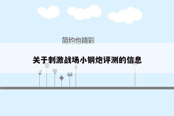 关于刺激战场小钢炮评测的信息