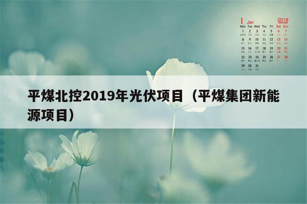 平煤北控2019年光伏项目（平煤集团新能源项目）