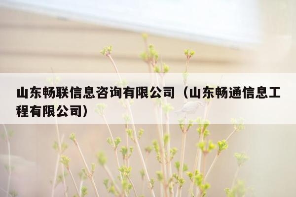 山东畅联信息咨询有限公司（山东畅通信息工程有限公司）