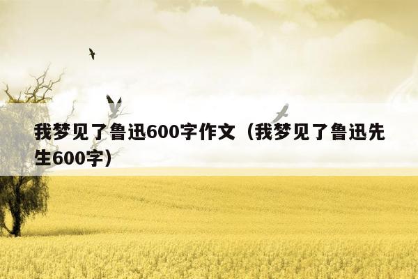 我梦见了鲁迅600字作文（我梦见了鲁迅先生600字）