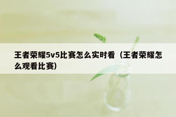 王者荣耀5v5比赛怎么实时看（王者荣耀怎么观看比赛）