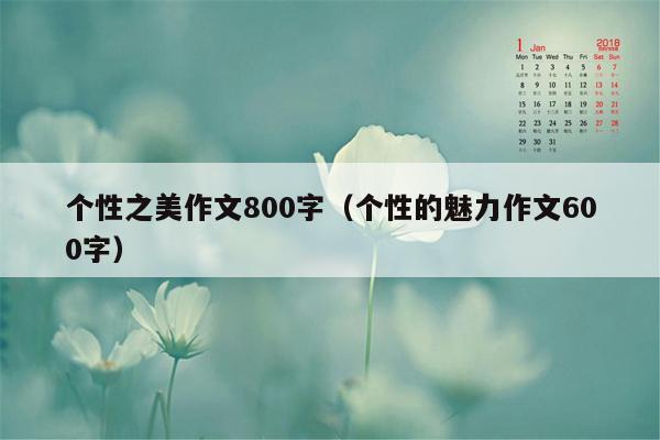 个性之美作文800字（个性的魅力作文600字）