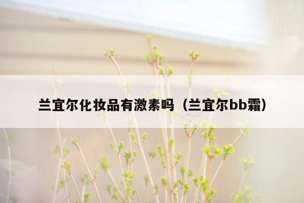 兰宜尔化妆品有激素吗（兰宜尔bb霜）