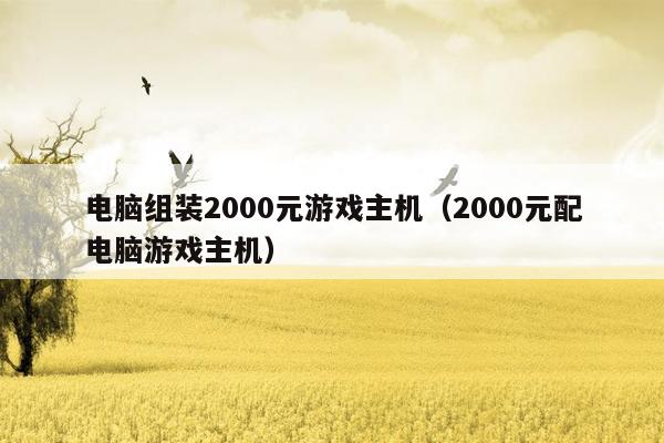 电脑组装2000元游戏主机（2000元配电脑游戏主机）