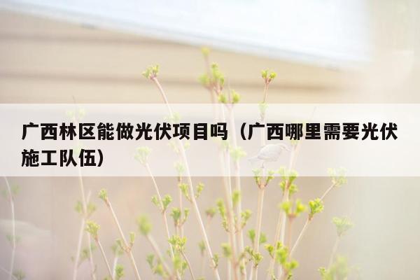 广西林区能做光伏项目吗（广西哪里需要光伏施工队伍）