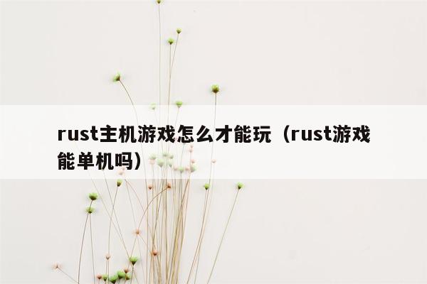 rust主机游戏怎么才能玩（rust游戏能单机吗）