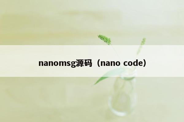 nanomsg源码（nano code）