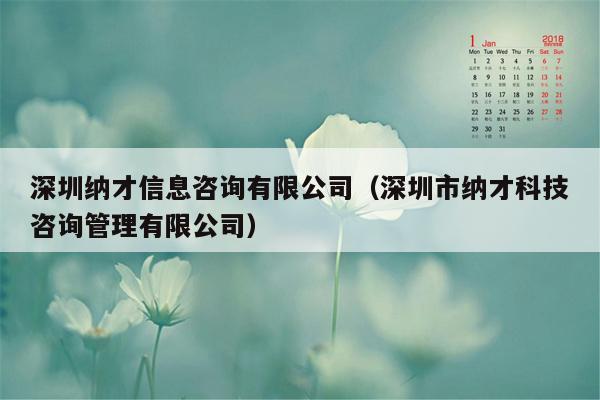 深圳纳才信息咨询有限公司（深圳市纳才科技咨询管理有限公司）