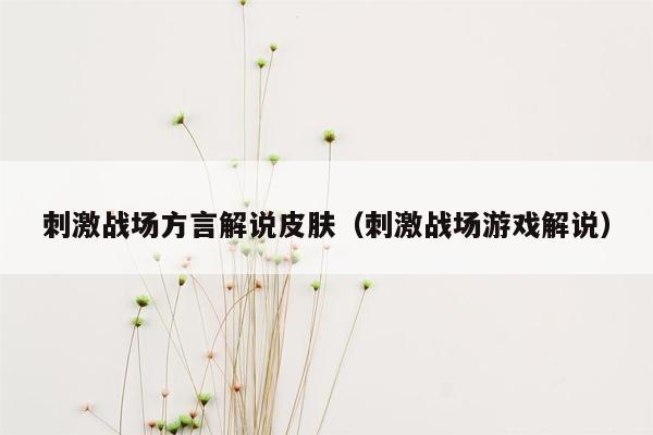 刺激战场方言解说皮肤（刺激战场游戏解说）