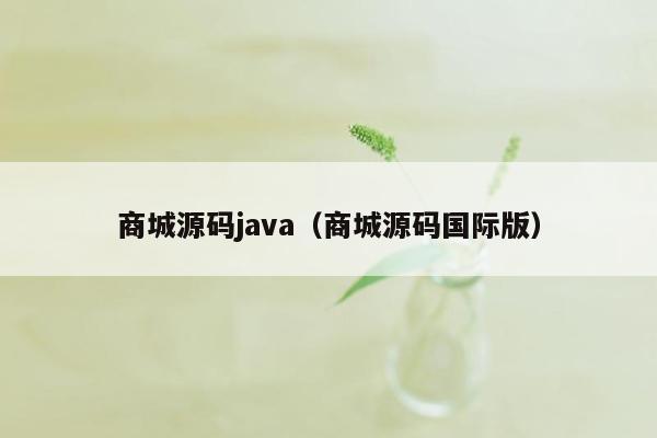 商城源码java（商城源码国际版）