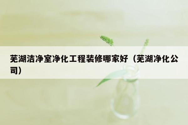 芜湖洁净室净化工程装修哪家好（芜湖净化公司）