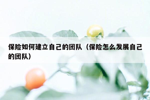 保险如何建立自己的团队（保险怎么发展自己的团队）