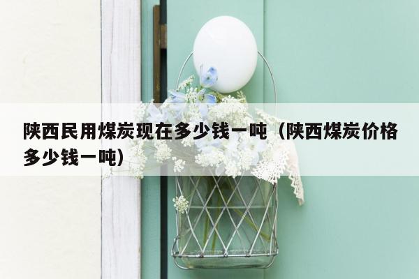 陕西民用煤炭现在多少钱一吨（陕西煤炭价格多少钱一吨）