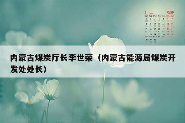 内蒙古煤炭厅长李世荣（内蒙古能源局煤炭开发处处长）