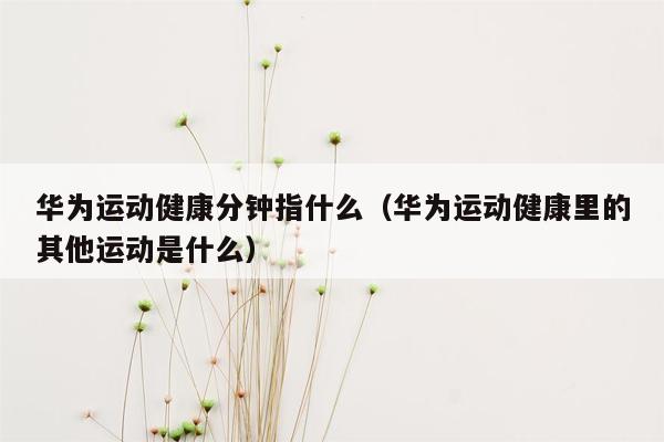 华为运动健康分钟指什么（华为运动健康里的其他运动是什么）