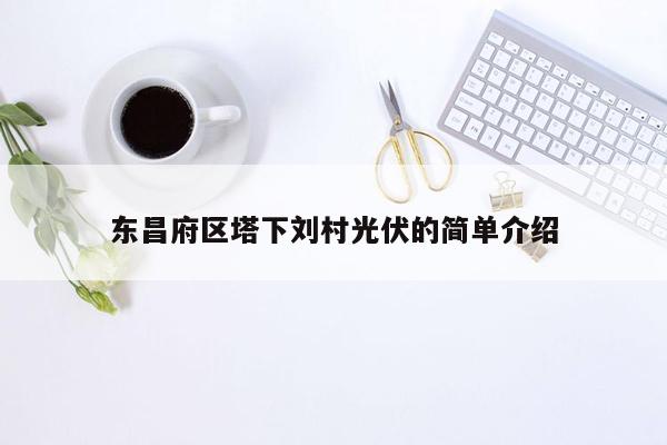 东昌府区塔下刘村光伏的简单介绍