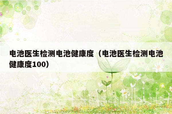 电池医生检测电池健康度（电池医生检测电池健康度100）