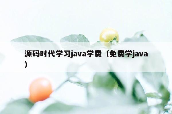 源码时代学习<strong>java</strong>学费（免费学<strong>java</strong>）