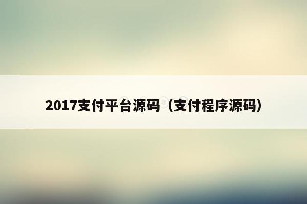 2017支付平台源码（支付程序源码）