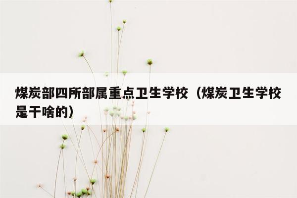 煤炭部四所部属重点卫生学校（煤炭卫生学校是干啥的）