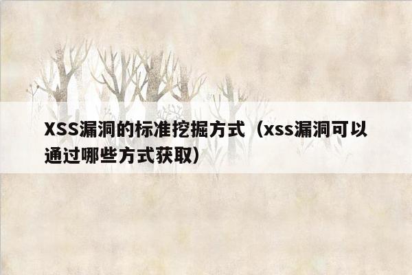 XSS漏洞的标准挖掘方式（xss漏洞可以通过哪些方式获取）