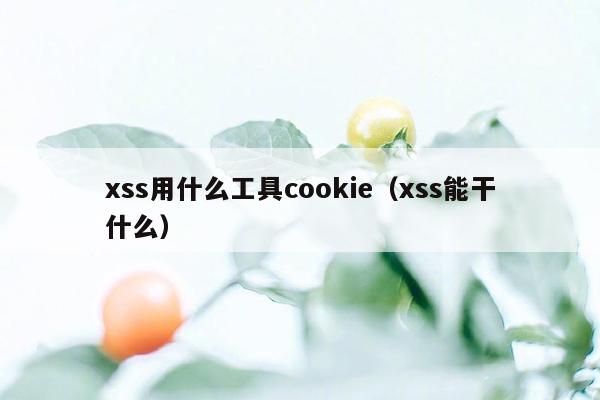 xss用什么工具cookie（xss能干什么）