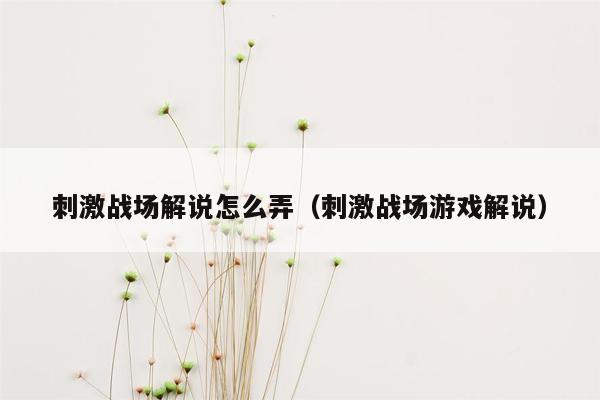 刺激战场解说怎么弄（刺激战场游戏解说）