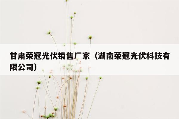 甘肃荣冠光伏销售厂家（湖南荣冠光伏科技有限公司）