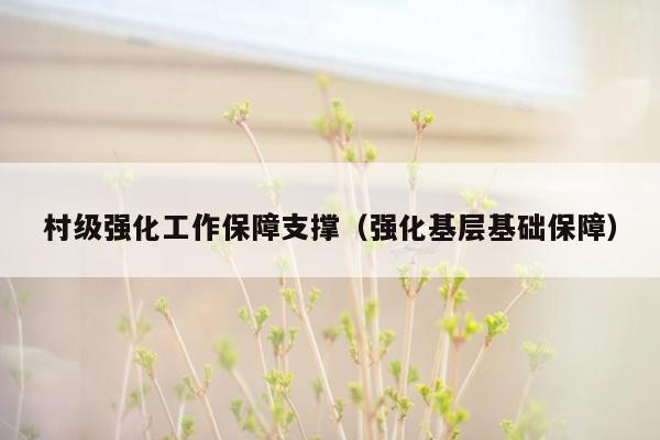 村级强化工作保障支撑（强化基层基础保障）