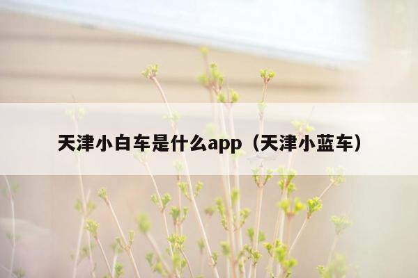 天津小白车是什么app（天津小蓝车）