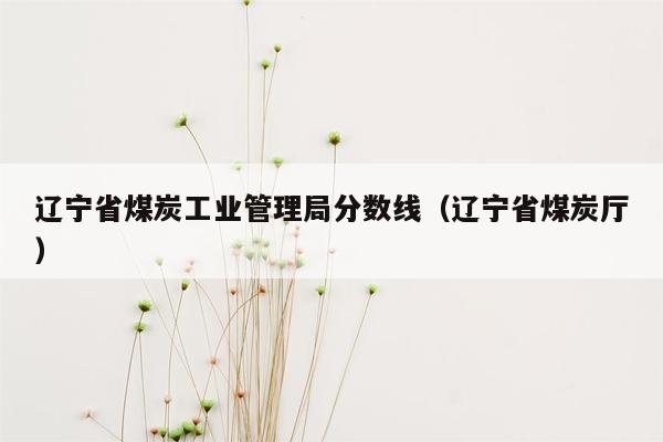 辽宁省煤炭工业管理局分数线（辽宁省煤炭厅）