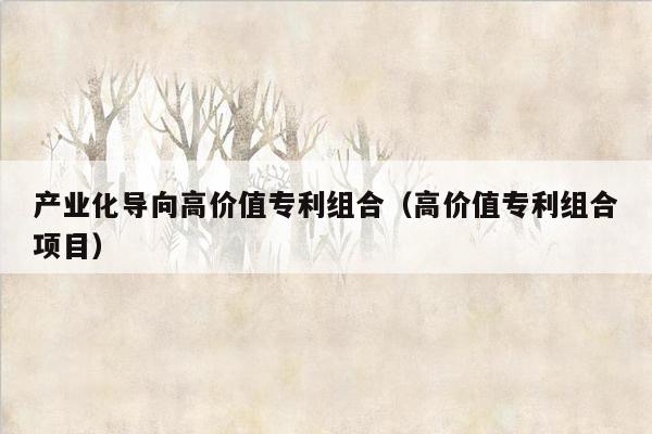 产业化导向高价值专利组合（高价值专利组合项目）