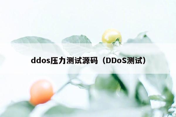 ddos压力测试源码（DDoS测试）