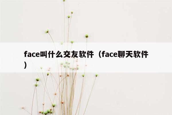 face叫什么交友软件（face聊天软件）