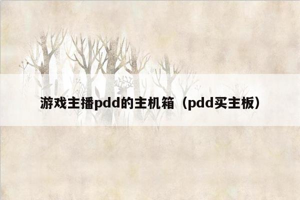 游戏主播pdd的主机箱（pdd买主板）