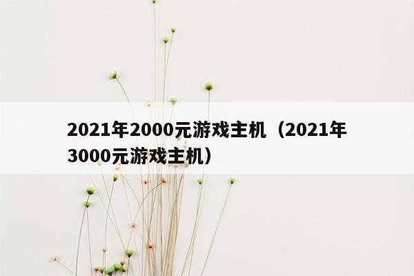 2021年2000元游戏主机（2021年3000元游戏主机）