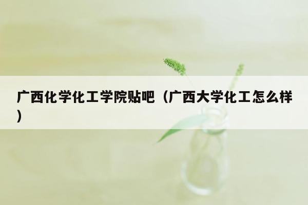 广西化学化工学院贴吧（广西大学化工怎么样）