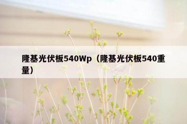 隆基光伏板540Wp（隆基光伏板540重量）