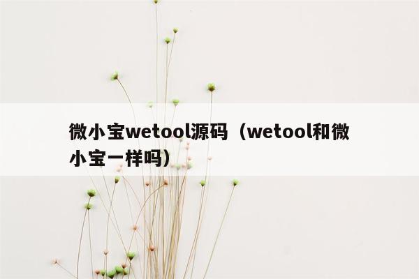 微小宝wetool源码（wetool和微小宝一样吗）