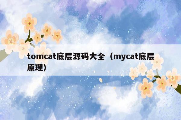 tomcat底层源码大全（mycat底层原理）