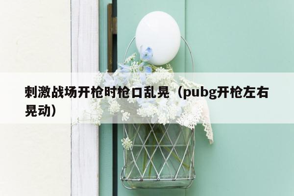 刺激战场开枪时枪口乱晃（pubg开枪左右晃动）