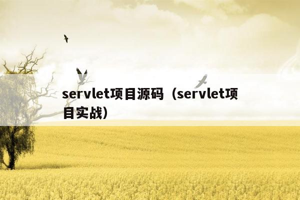 servlet项目源码（servlet项目实战）