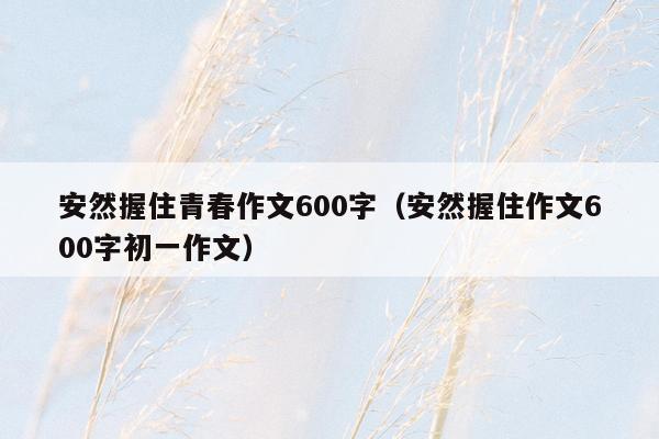 安然握住青春作文600字（安然握住作文600字初一作文）